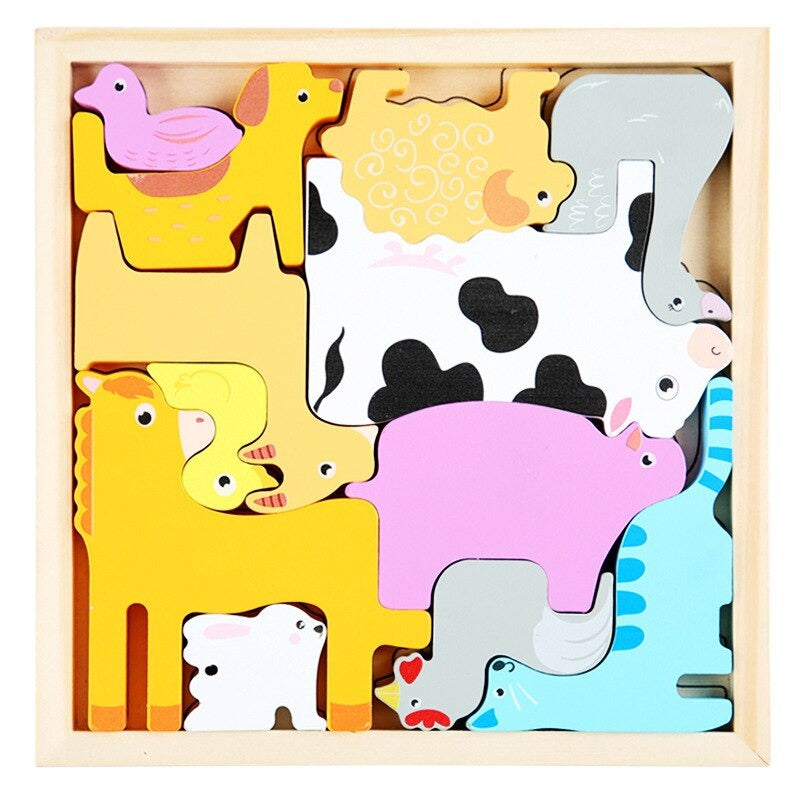 Colorful Wooden Brain Teaser Set 3 Pieces
