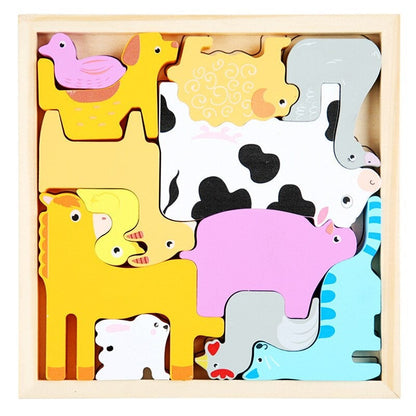 Colorful Wooden Brain Teaser Set 3 Pieces