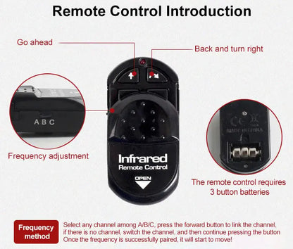 Remote Control Toy Cockroach with Glow Eyes Effect