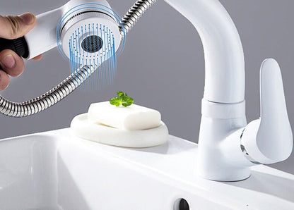 Flexible Chrome Bathroom Faucet with Pull-Out Spray