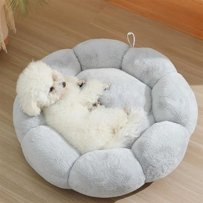 Cozy Pet Bed with Cute Floral Design & Removable Cover