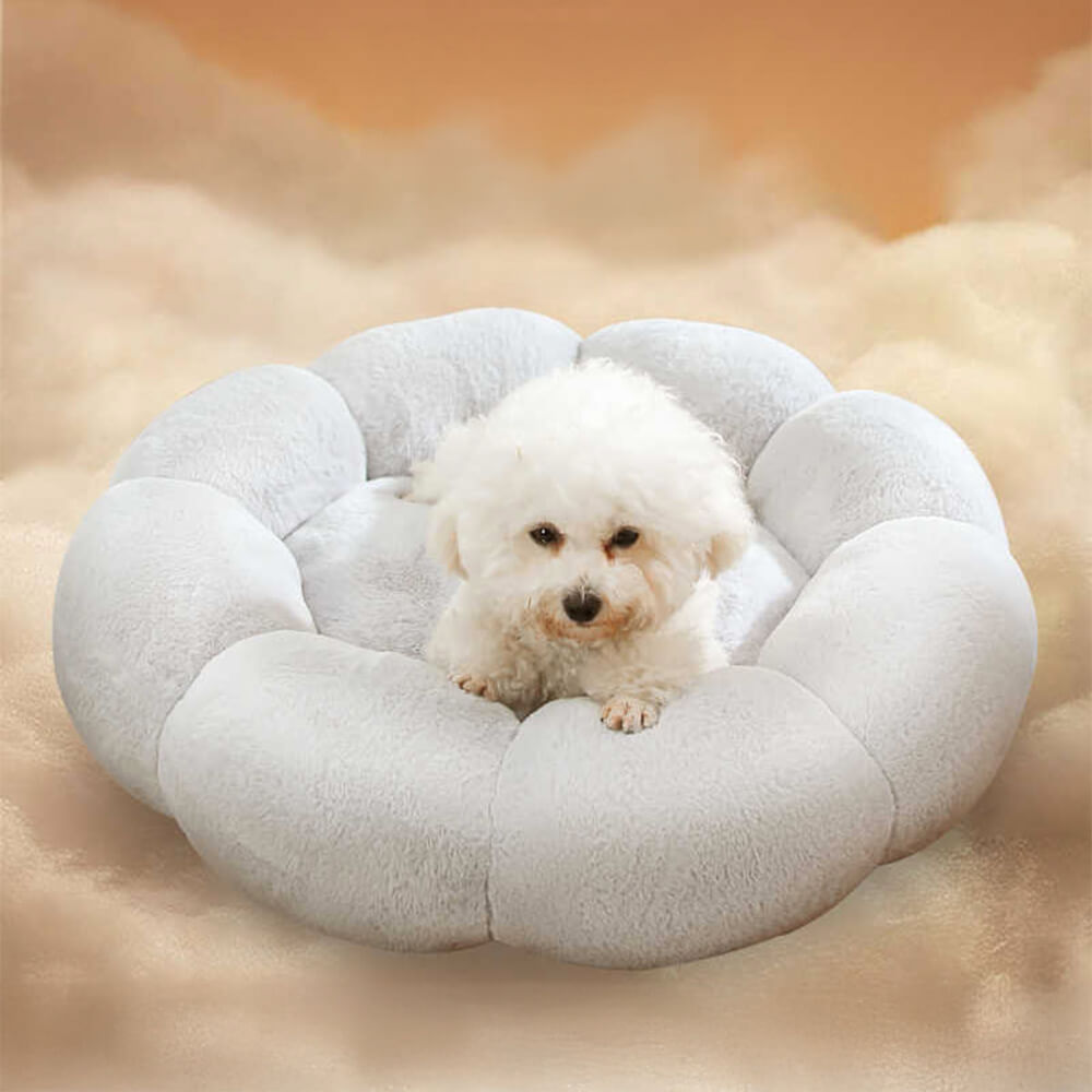 Cozy Pet Bed with Cute Floral Design & Removable Cover