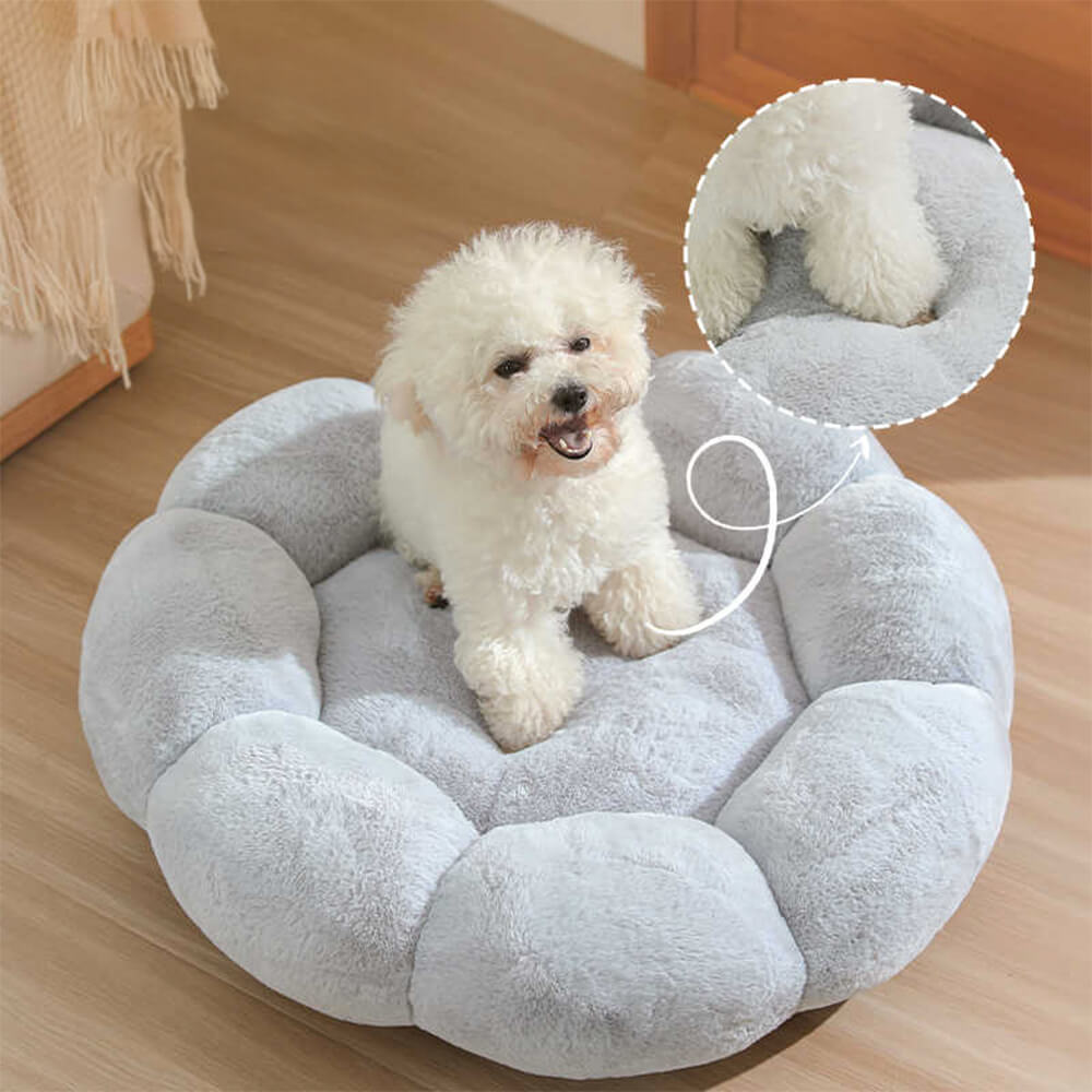 Cozy Pet Bed with Cute Floral Design & Removable Cover