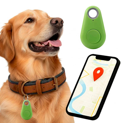 Accurate GPS Dog Tracker Live Location No Monthly Fees