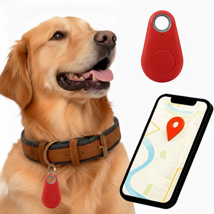 Accurate GPS Dog Tracker with Live Location Updates