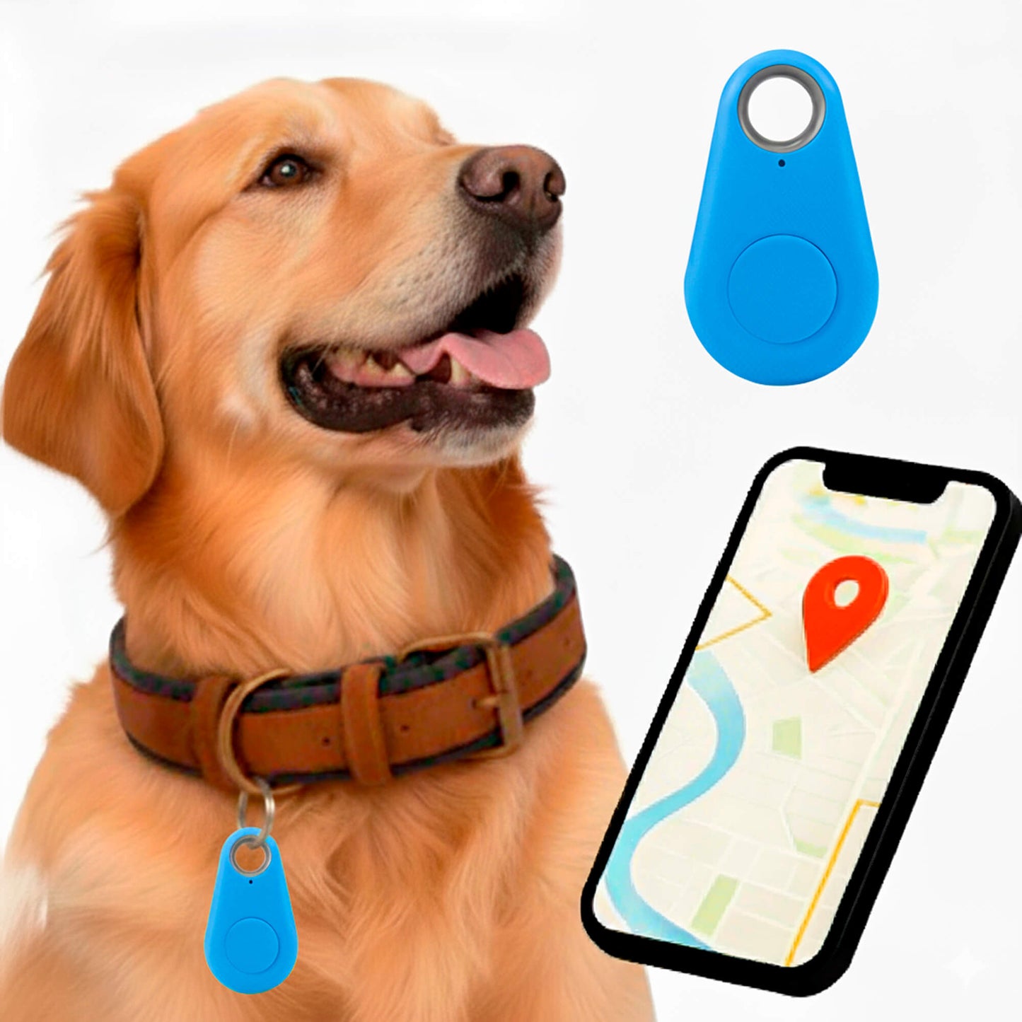 Accurate GPS Dog Tracker Live Location No Monthly Fees