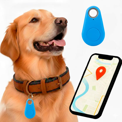 Accurate GPS Dog Tracker Live Location No Monthly Fees