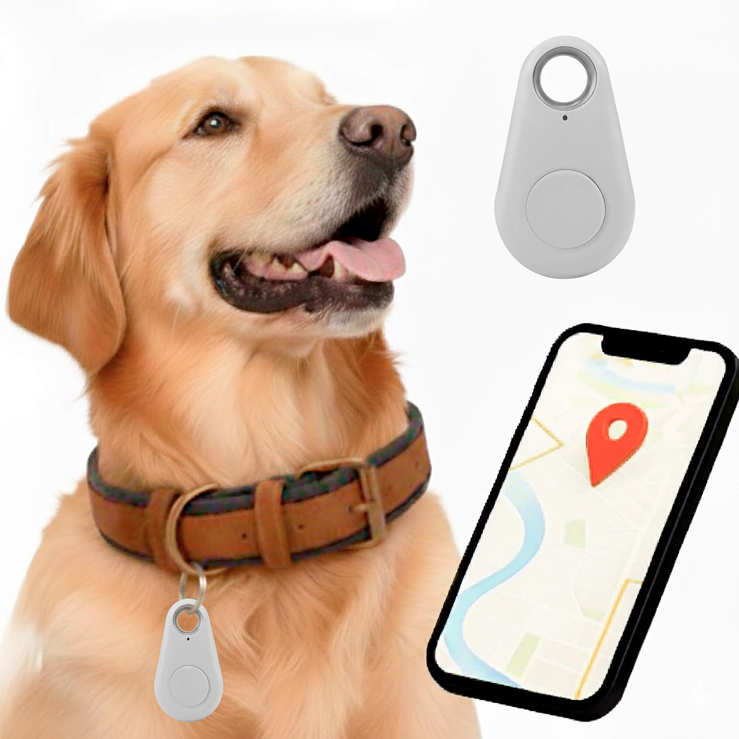 Accurate GPS Dog Tracker Live Location No Monthly Fees