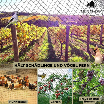 Durable Garden Netting | UV Protected Plant Cover