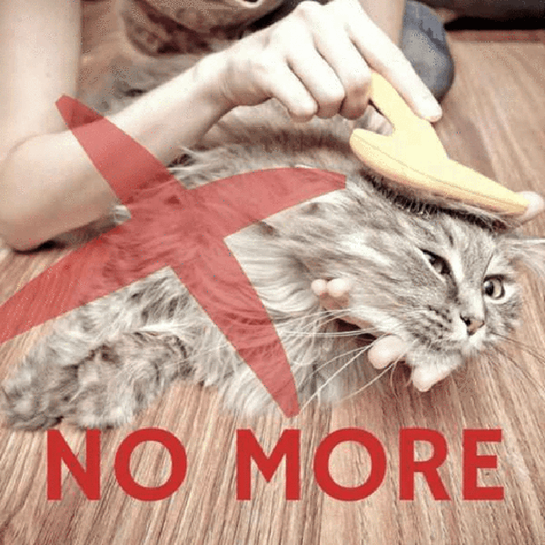 Easy Fur Remover Pet Glove