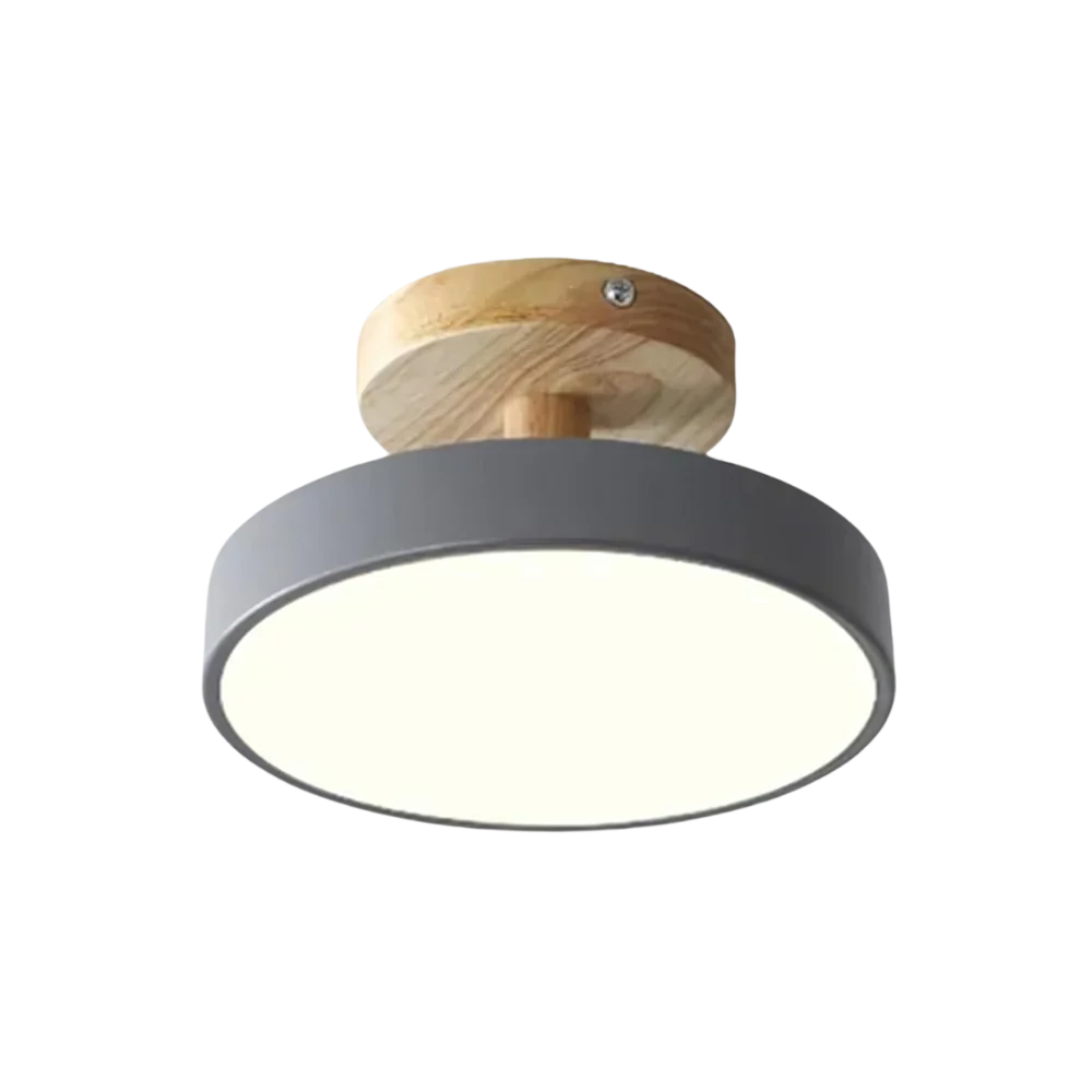 Modern Thin LED Ceiling Lamp