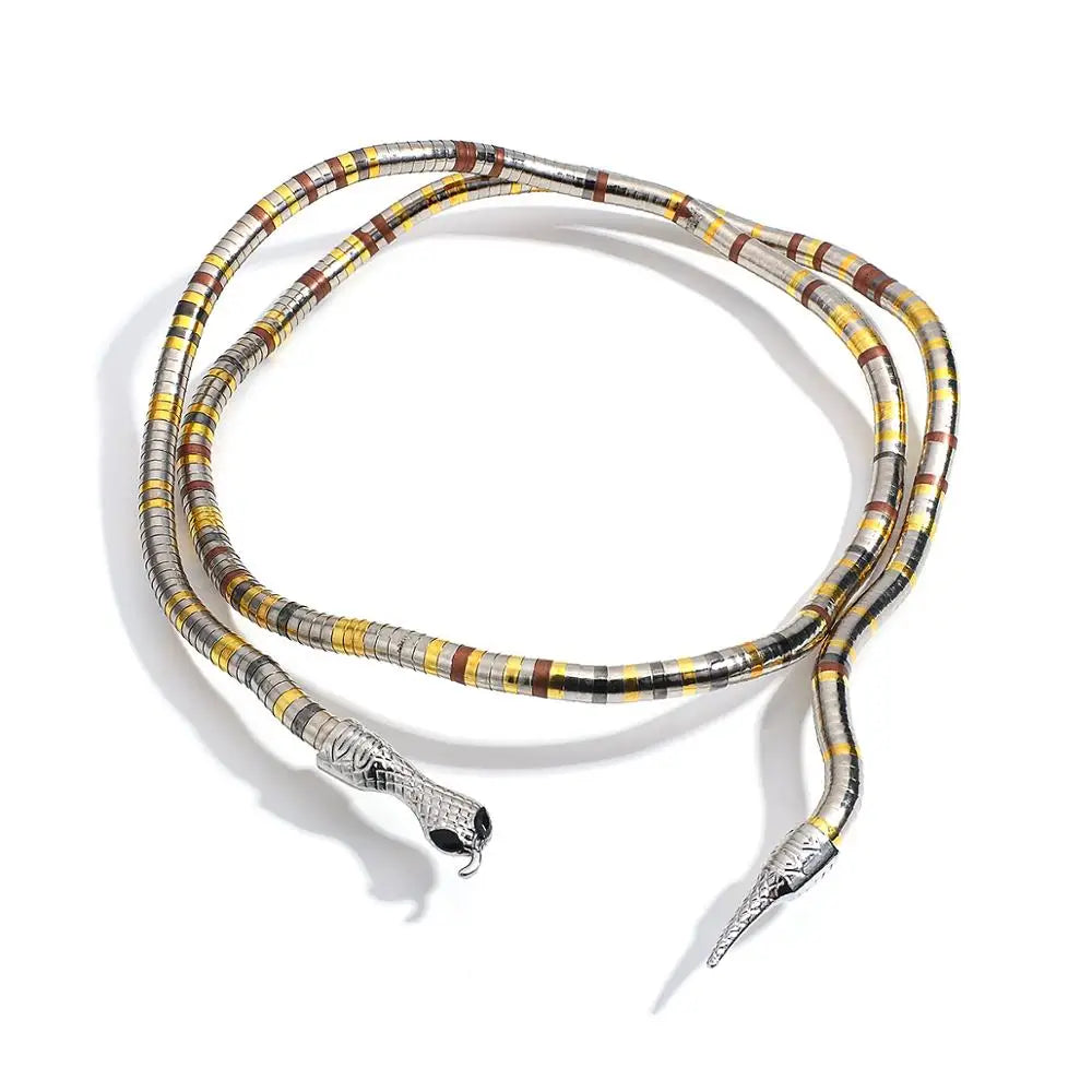 Trendy Snake Chain Double Layer Necklace
