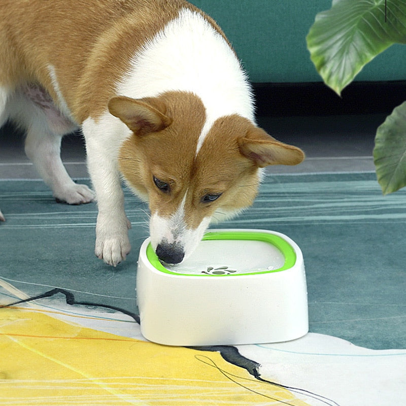 Leak Resistant Dog Water Bowl Feeder