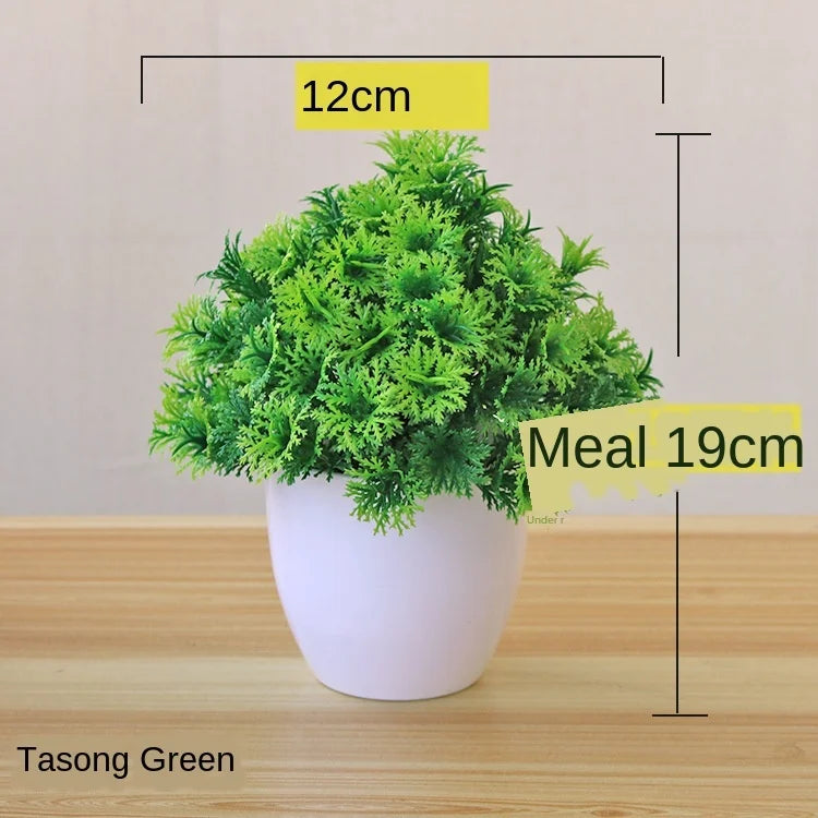 Small Potted Bonsai Tree Containers