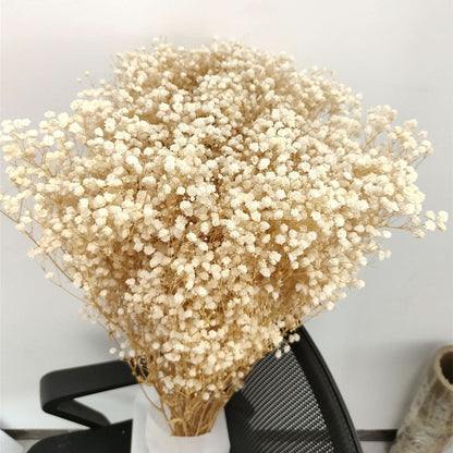 Natural Dried Flower Baby Breath Bouquet - Luxicro
