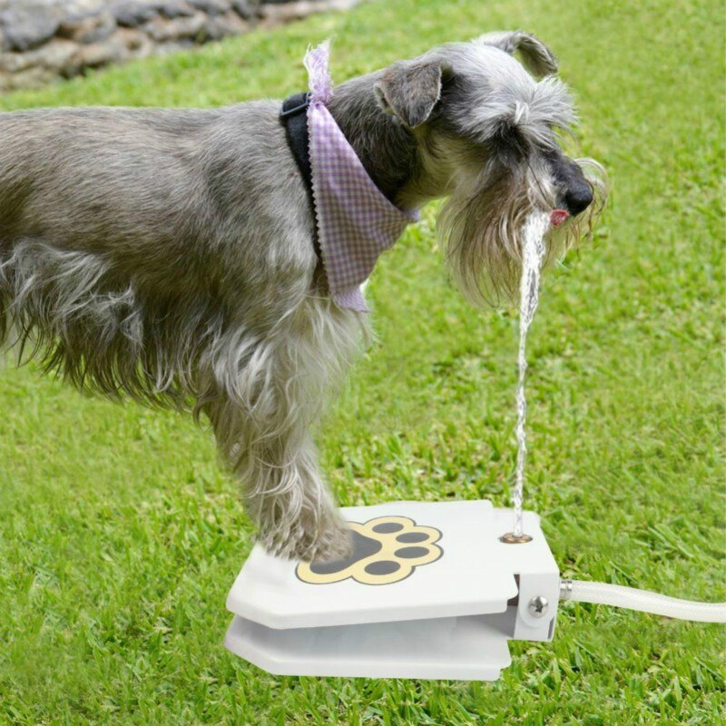Automatic Pet Water Dispenser Fountain - Luxicro