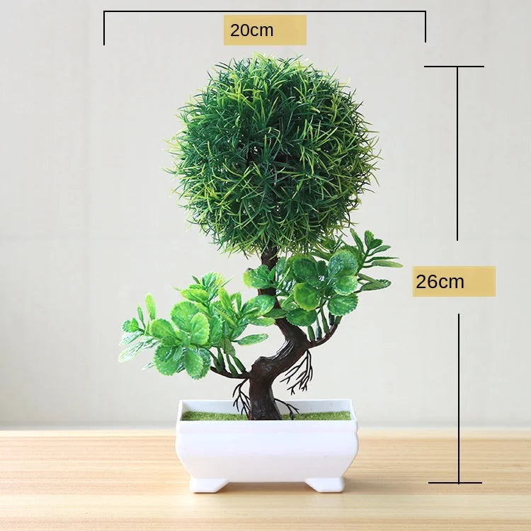 Small Potted Bonsai Tree Containers