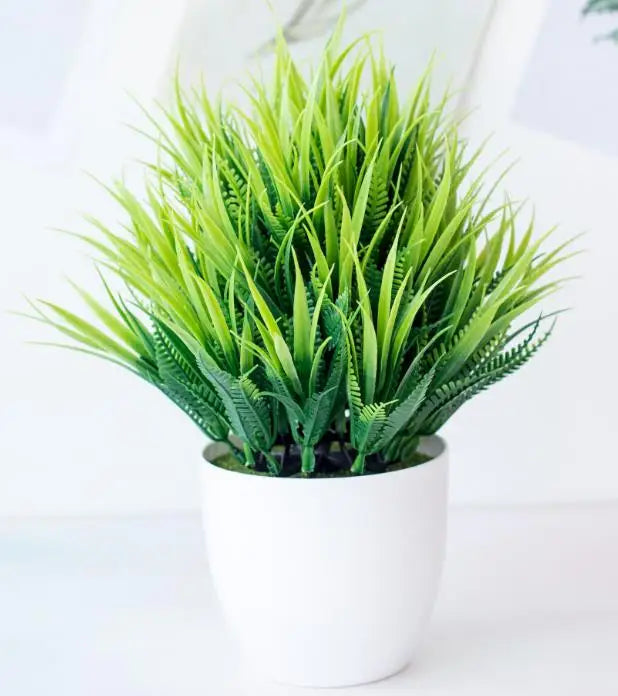 Small Potted Bonsai Tree Containers