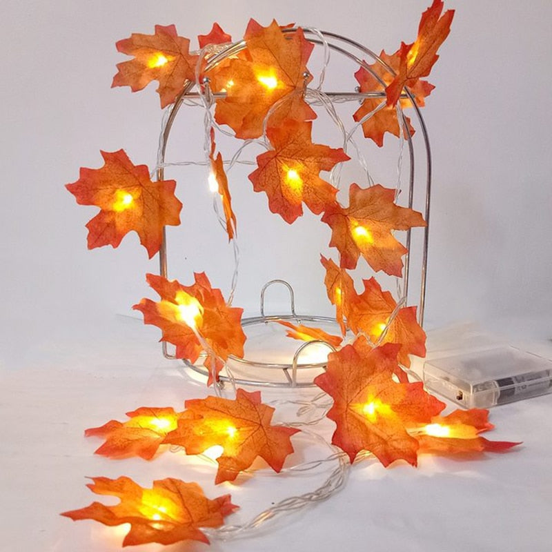 Vibrant Autumn Fairy Light Set