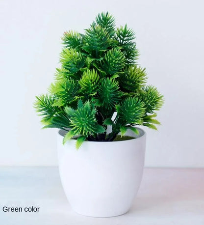 Small Potted Bonsai Tree Containers