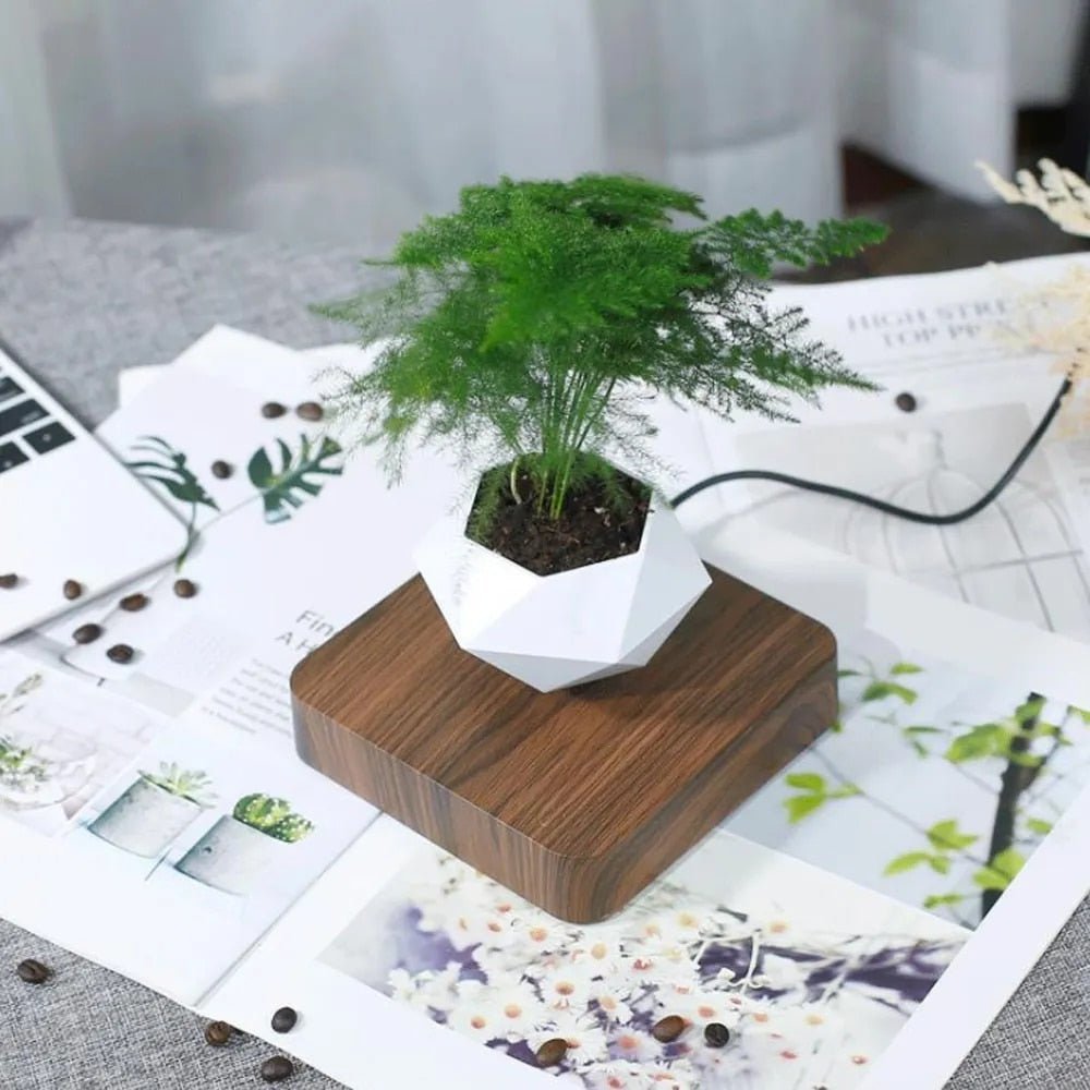 Airy Glass Terrarium Indoor Plant Holders