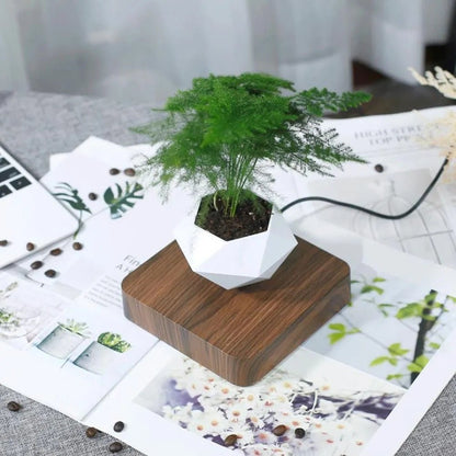 Airy Glass Terrarium Indoor Plant Holders