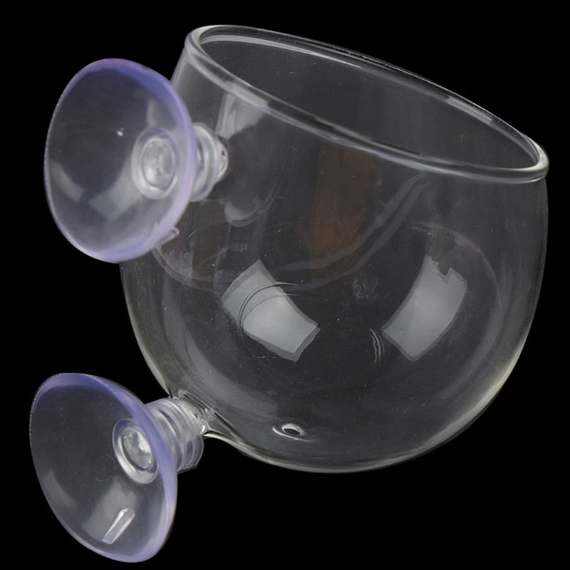 Decorative Glass Fish Tank Bowl