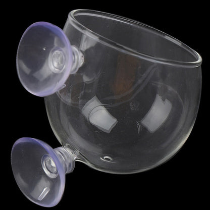 Decorative Glass Fish Tank Bowl