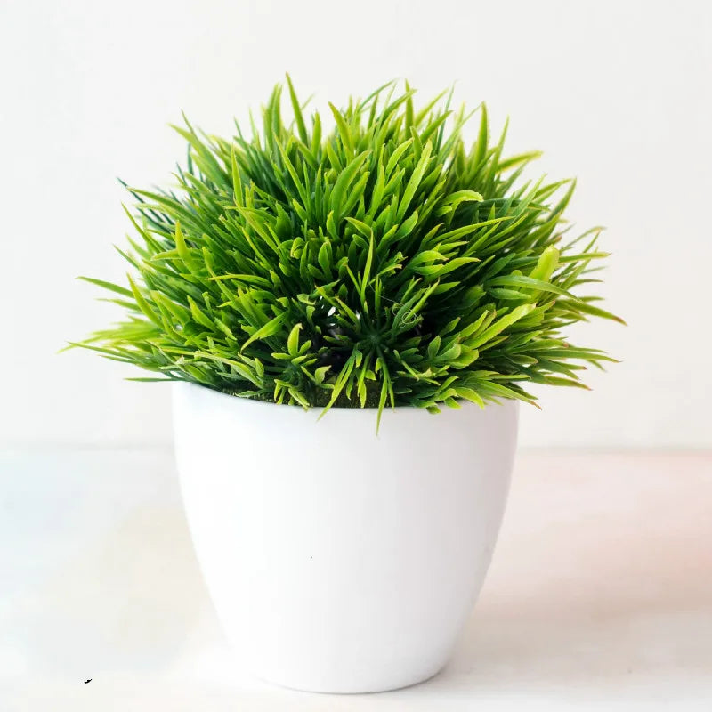 Small Potted Bonsai Tree Containers