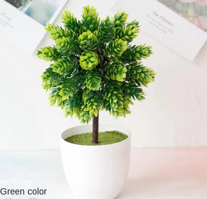 Small Potted Bonsai Tree Containers