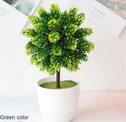Small Potted Bonsai Tree Containers