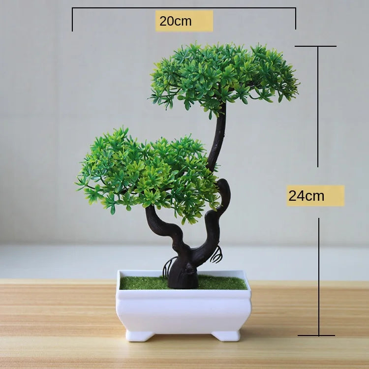 Small Potted Bonsai Tree Containers