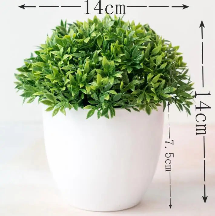 Small Potted Bonsai Tree Containers - Luxicro