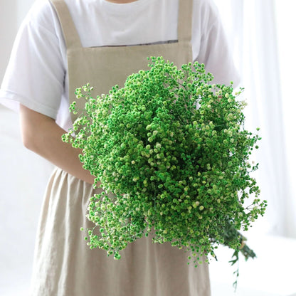 Natural Dried Flower Baby Breath Bouquet