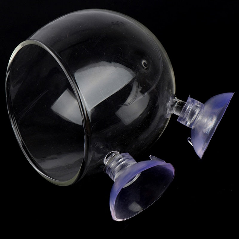 Beautiful Aquarium Fish Glass Decor Tank