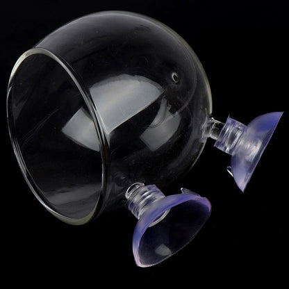 Decorative Glass Fish Tank Bowl