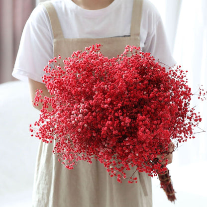 Natural Dried Flower Baby Breath Bouquet