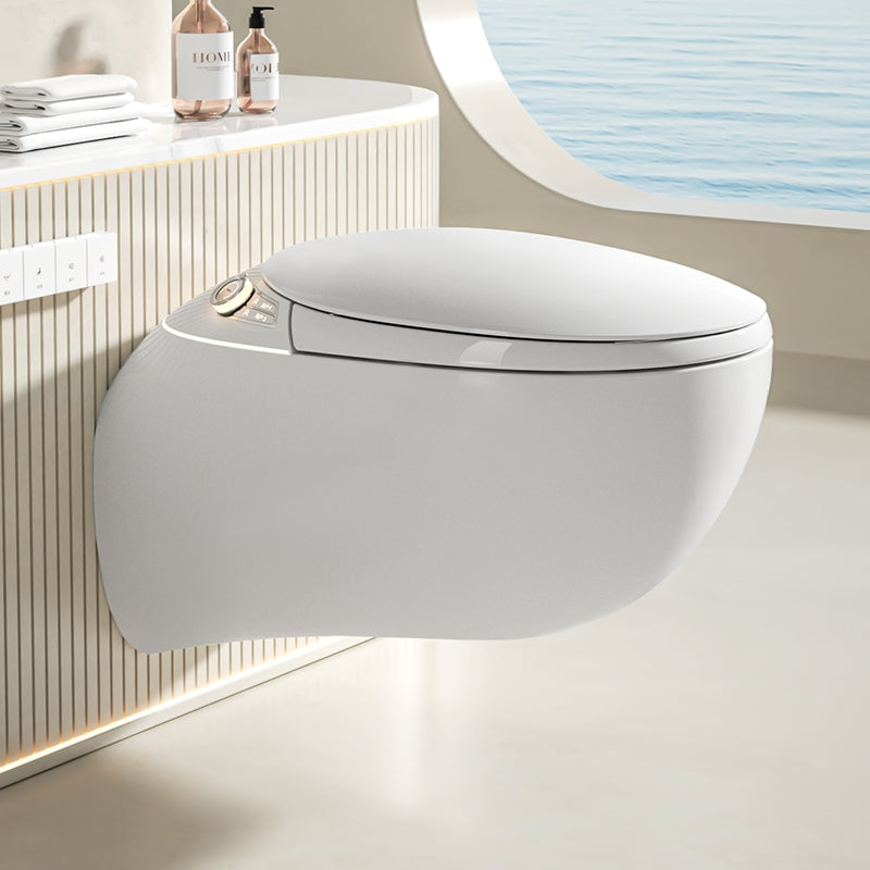 Advanced Modern Mounted Toilet - Luxicro