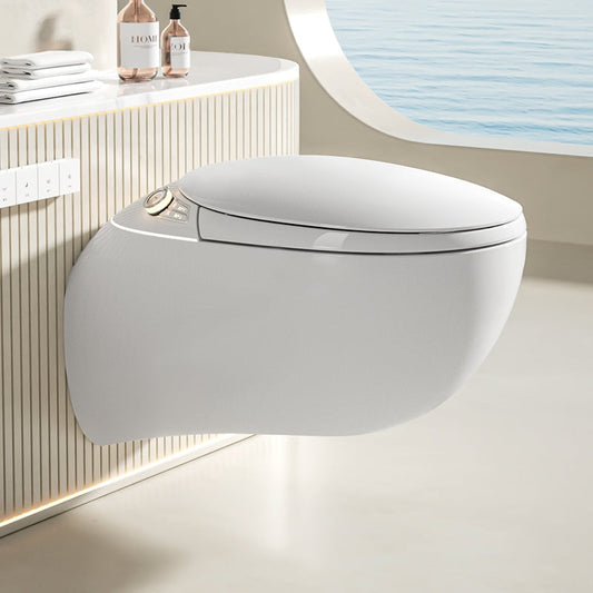 Advanced Modern Mounted Toilet - Luxicro