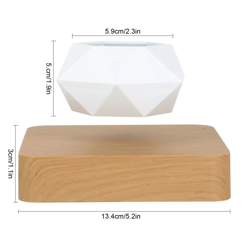 Unique Levitating Planter for Modern Home Decoration