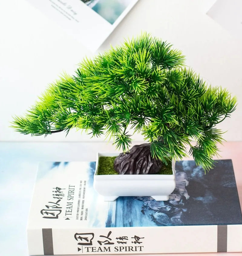 Small Potted Bonsai Tree Containers