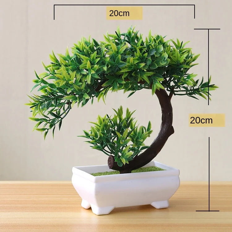 Small Potted Bonsai Tree Containers