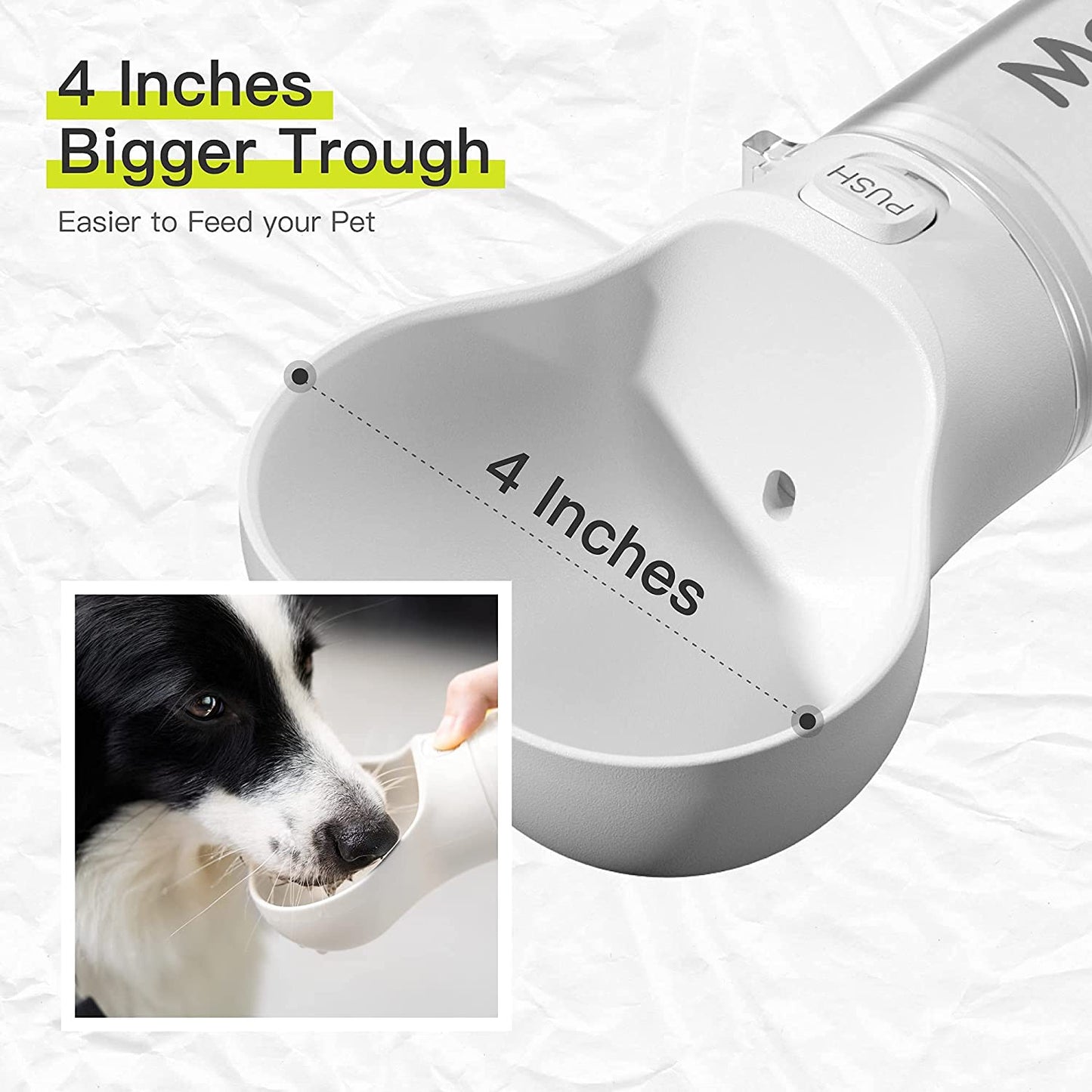 Fun Pet Bone Insulated Water Bottle
