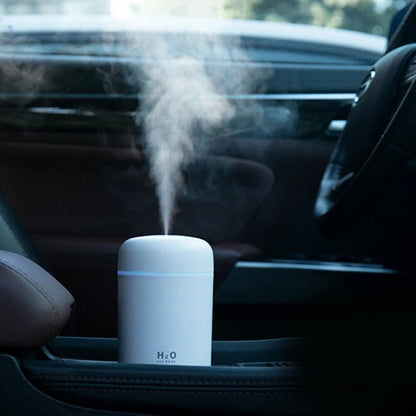 Portable Mini Mist Humidifier with LED Nightlight