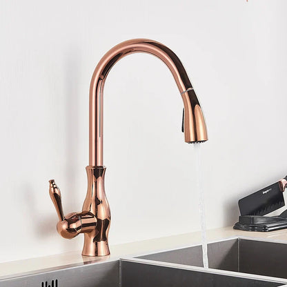 Luxury Stainless Steel Kitchen Faucet
