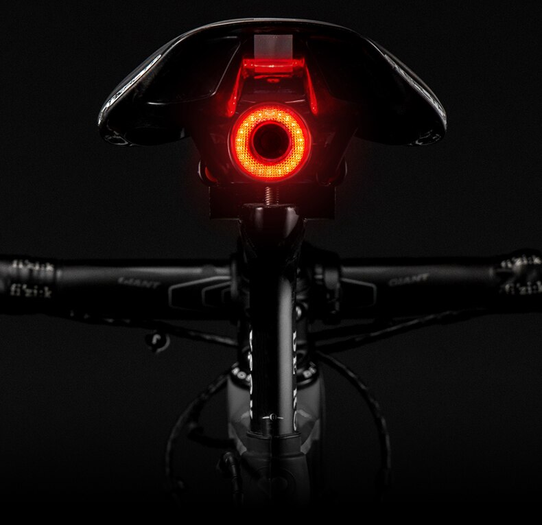Bright Rear Bike LED Light with Automatic Brake Alert