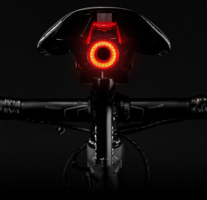Bright Rear Bike LED Light with Automatic Brake Alert