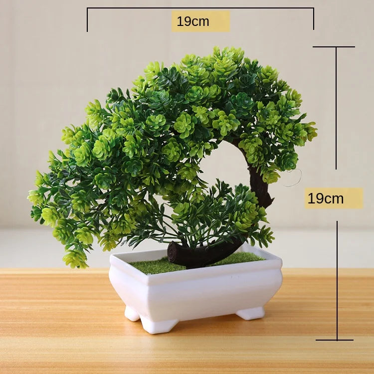 Small Potted Bonsai Tree Containers