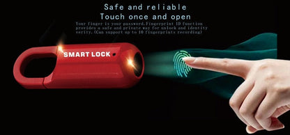 Secure Fingerprint USB Flash Drive Lock