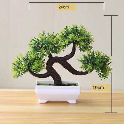 Small Potted Bonsai Tree Containers